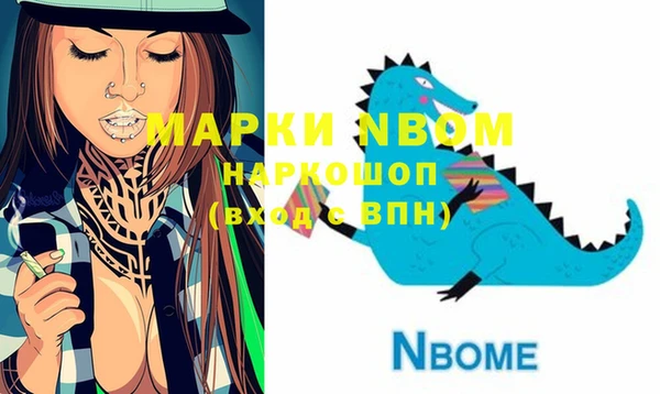 тгк Няндома