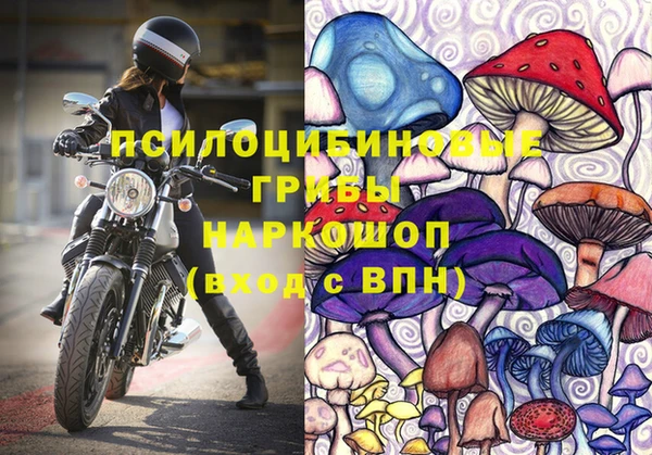гидра Армянск